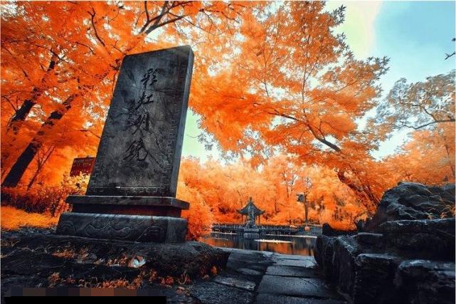 江寧小丹陽最新動態(tài)更新