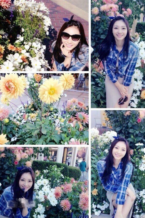 宅男屏道最新上架內(nèi)容質(zhì)量與受眾需求視角下的深度解析