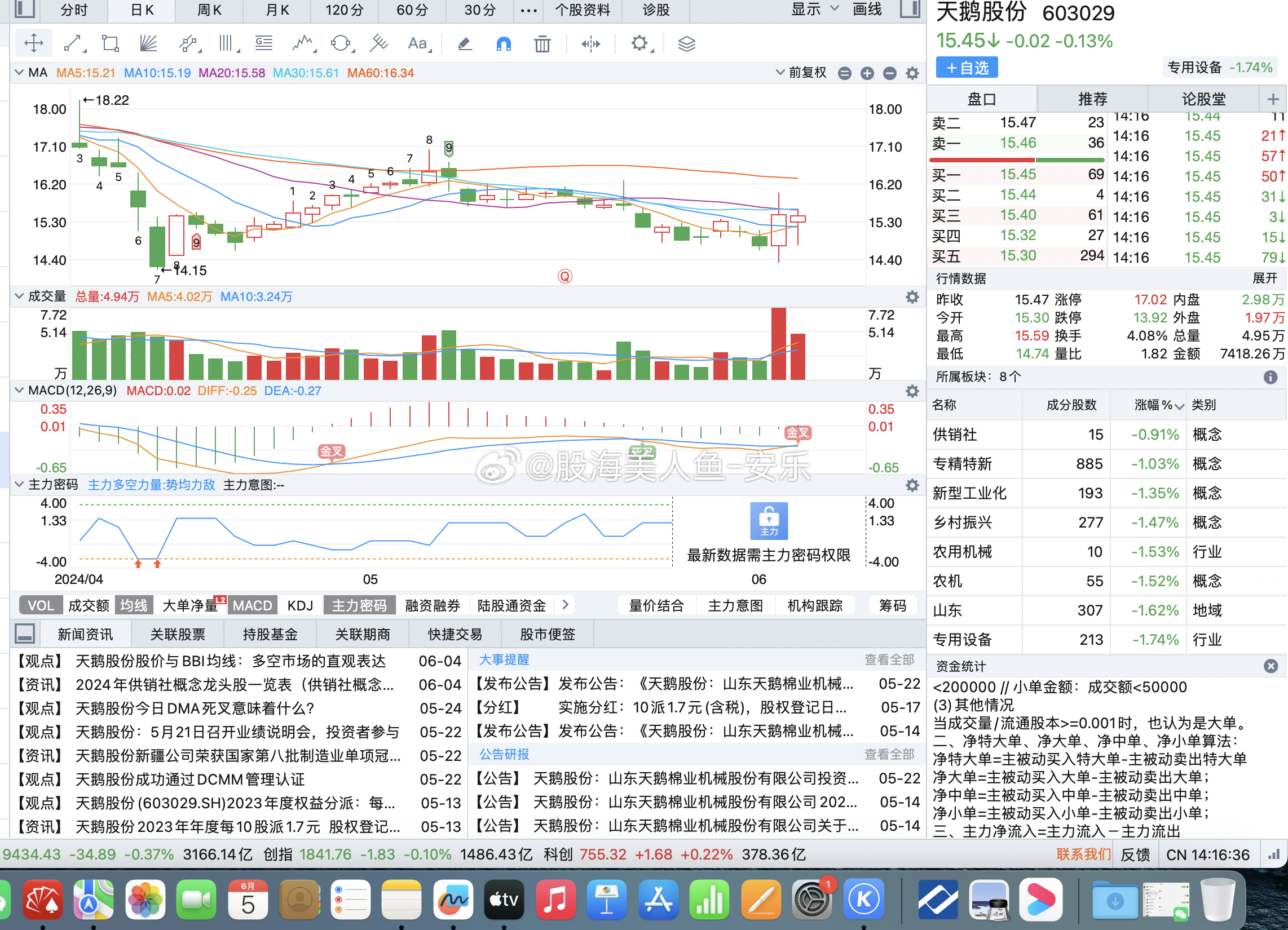 天鵝股份最新股票行情分析與操作指南揭秘