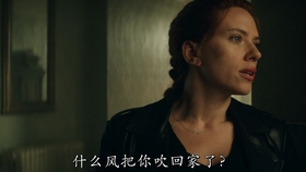 寡嫂文娟最新免費(fèi)閱讀——書香四溢的情感激蕩之旅