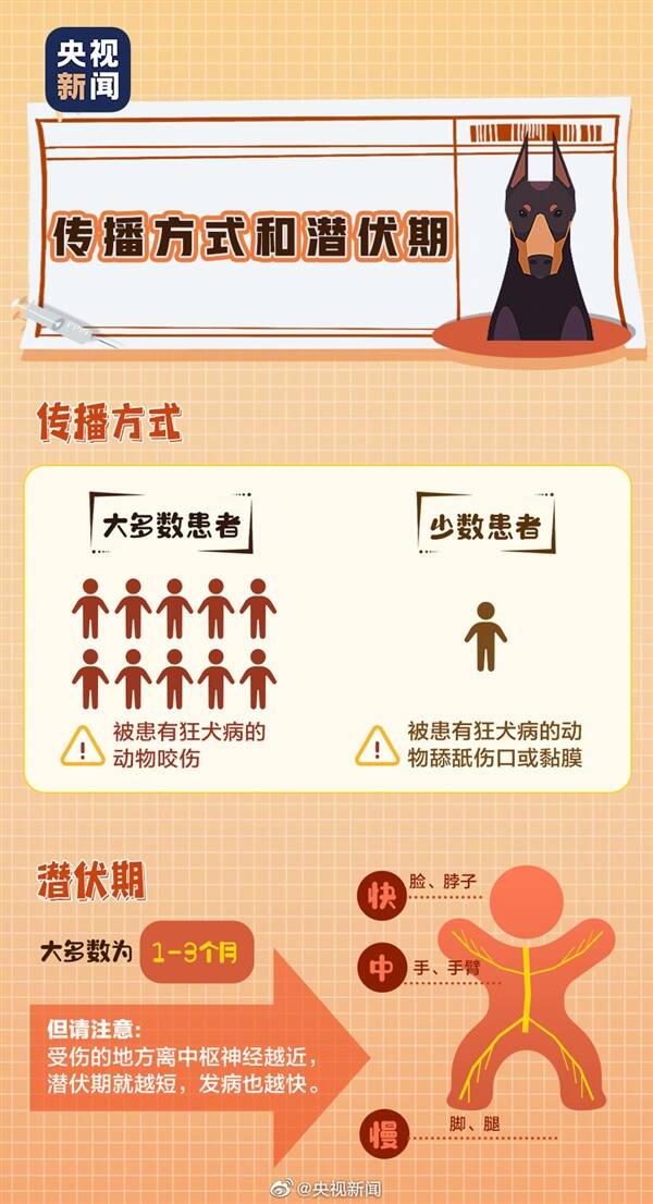 最新狂犬病疫苗科技進(jìn)展，引領(lǐng)健康生活新時(shí)代的防護(hù)之光