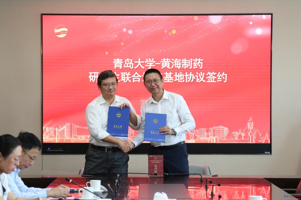 青島黃海制藥最新動態(tài)，心靈之旅探尋自然美景的魅力