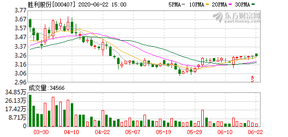 勝利股份收購(gòu)最新動(dòng)態(tài)，深度分析與觀點(diǎn)闡述