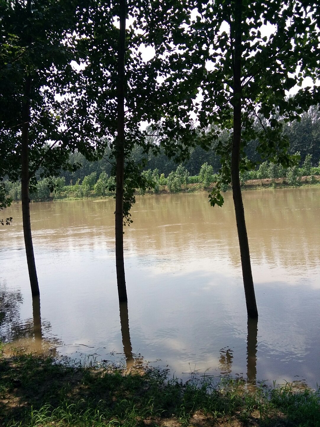 小佳河天氣預(yù)報(bào)最新，溫暖日常與友情的交織