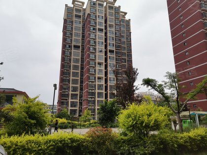 河南鹿邑最新房?jī)r(jià)概覽