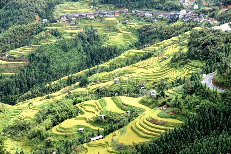 貴州榕江縣最新情況全面指南