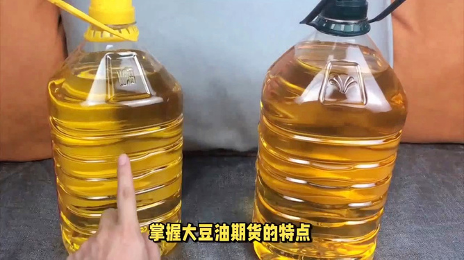 大連大豆油期貨最新價格詳解及操作指南