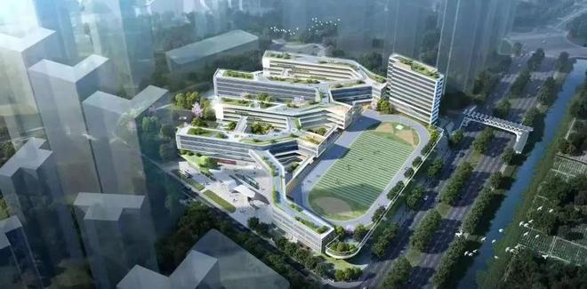 坪山沙田最新動態(tài)，自然美景探索之旅啟程