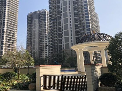 臨安美麗灣，探索自然美景，尋覓內(nèi)心平和之旅的最新動態(tài)