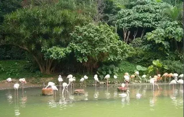 灃河治理最新動(dòng)態(tài)與小巷獨(dú)特發(fā)現(xiàn)揭秘