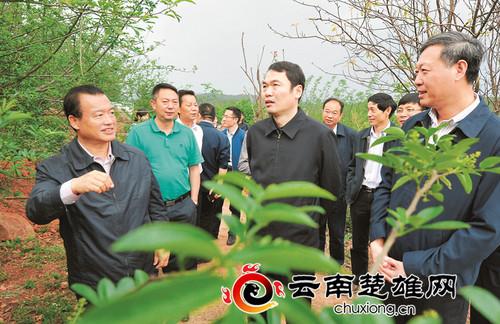 絞胎陶瓷工藝品展示 第12頁(yè)