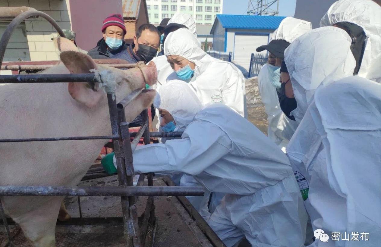 密山樓房最新出售消息，科技宅的夢幻居所，未來生活品質體驗展