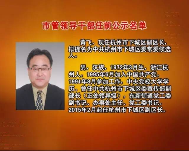 杭州市副市長最新分工詳解,職能劃分與觀點闡述