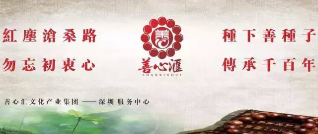 善心匯11最新消息深度分析與個(gè)人觀點(diǎn)總結(jié)