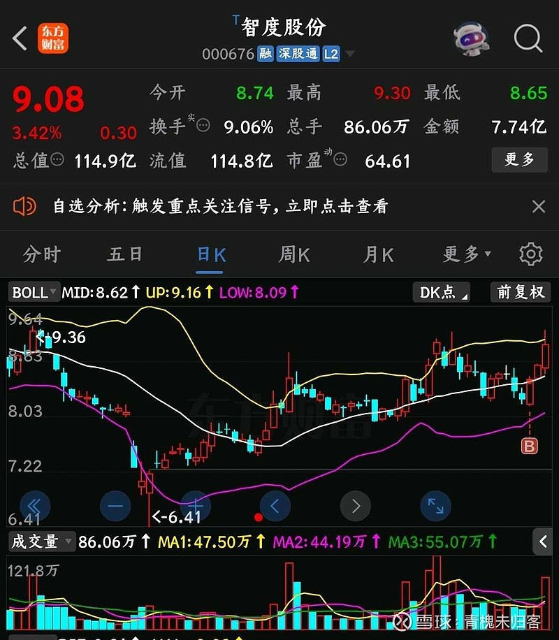 智度股份最新消息速遞，獲取指南全解析