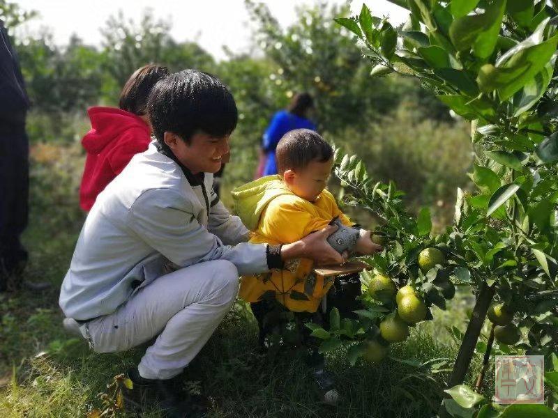 湖南常寧勝橋最新動態(tài)報道，新聞速遞????