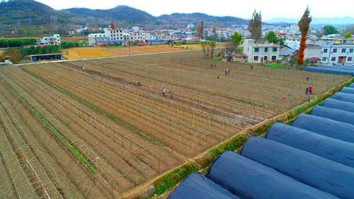 蘭州城關(guān)區(qū)公租房最新動態(tài)消息發(fā)布