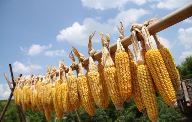 絞胎陶瓷工藝品研制 第4頁