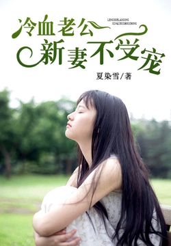 簡(jiǎn)夏冷彥小說(shuō)最新閱讀，小巷神秘書(shū)香小屋的奇遇