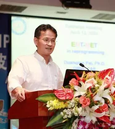 裴端卿最新動態(tài)，時(shí)代印記與領(lǐng)域領(lǐng)航者的新進(jìn)展