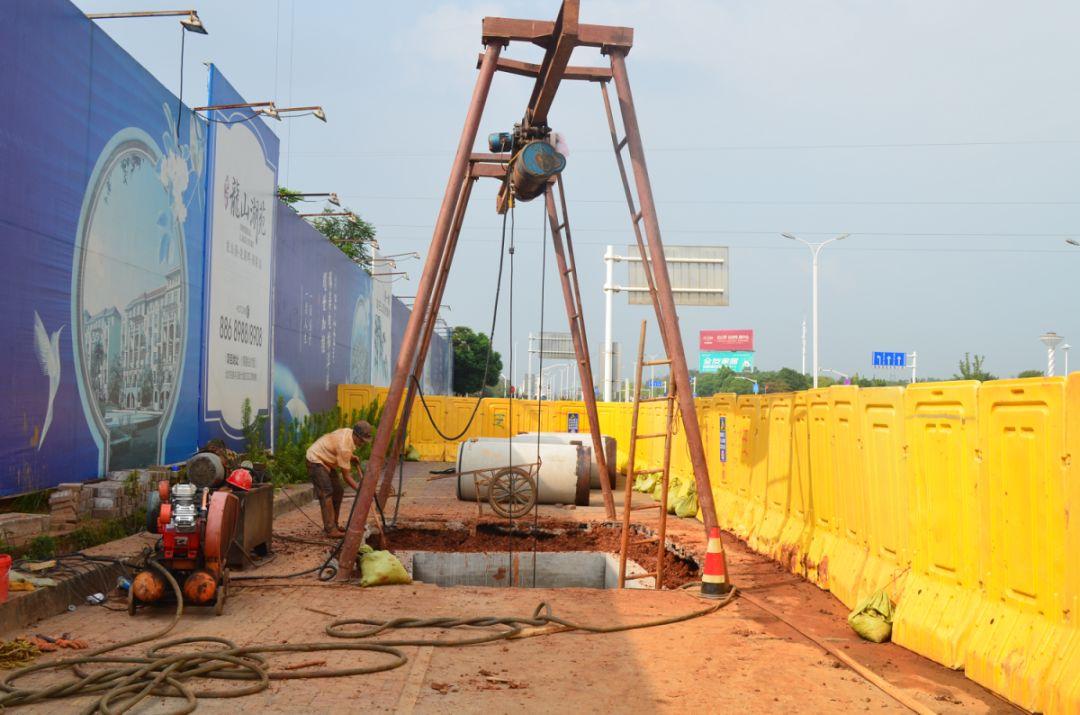 龍山湖苑最新動(dòng)態(tài)揭秘，巷弄深處的獨(dú)特小店等你來(lái)探索！