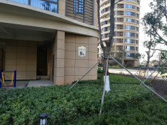 溫州金海首府最新動(dòng)態(tài)及相關(guān)論述揭秘