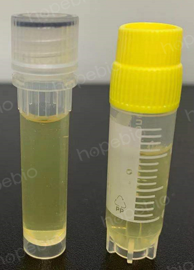 科技重塑生命之源，最新型液體菌種培養(yǎng)器開啟培育新紀(jì)元