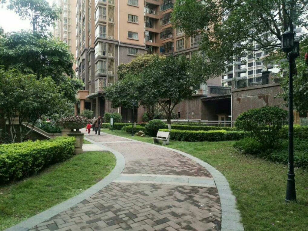 清遠(yuǎn)中恒公園最新房?jī)r(jià)揭秘，小巷深處的意外發(fā)現(xiàn)